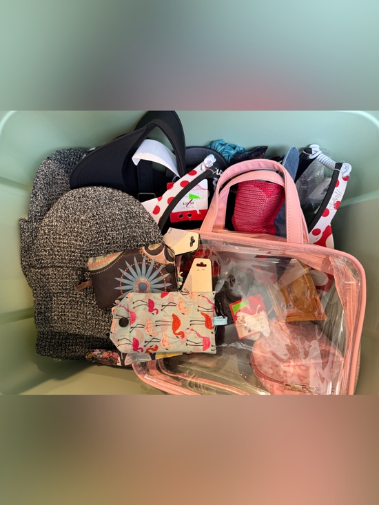 aerie Accessories - NWT/NWOT Accessories Reseller Bundle | American Eagle Aerie Puma l lGolf + More